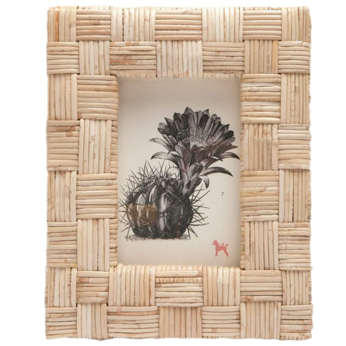 Pigeon & Poodle Grasse Picture Frame Pillow & Decor pigeon-poodle-02GRAS-NT-4X6