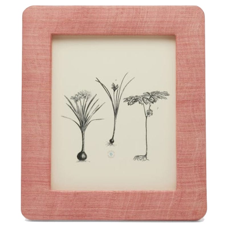 Pigeon & Poodle Halle Picture Frame Pillow & Decor