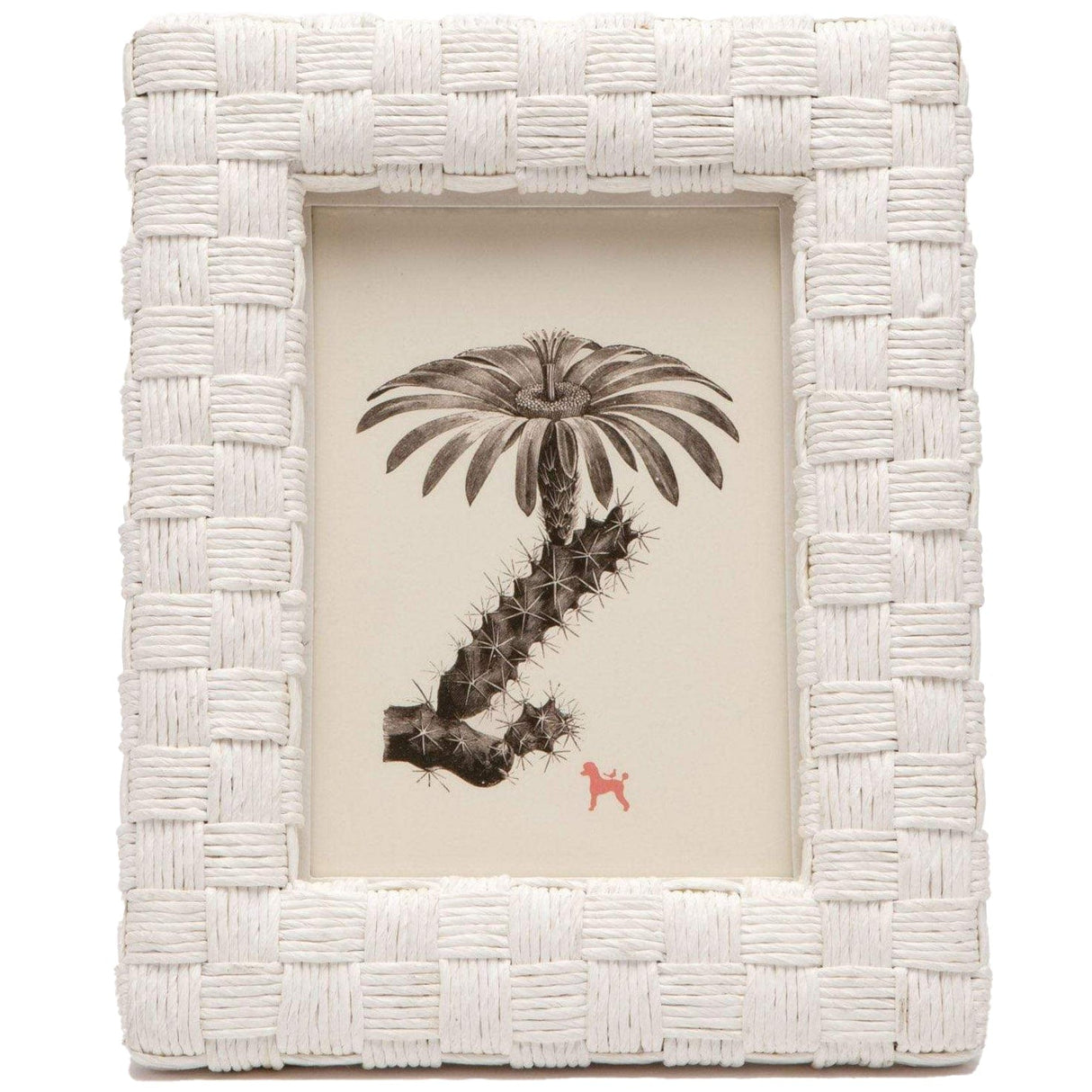 Pigeon & Poodle Nassau Picture Frame Pillow & Decor pigeon-poodle-02NASS-WH-5X7