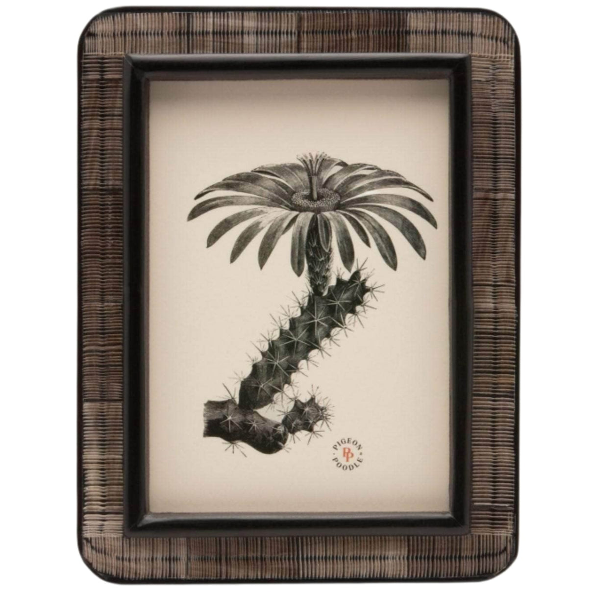 Pigeon & Poodle Rauma Picture Frame Pillow & Decor pigeon-poodle-02RAUM-DK-5X7