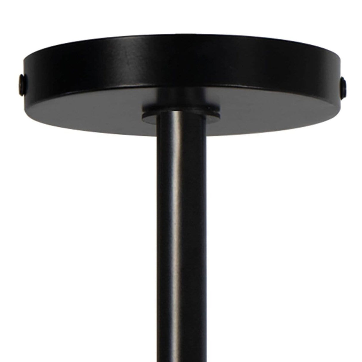 Regina Andrew Bluff Outdoor Pendant Lighting