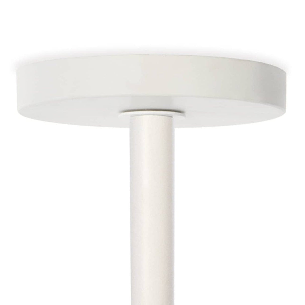 Regina Andrew Bluff Outdoor Pendant Lighting