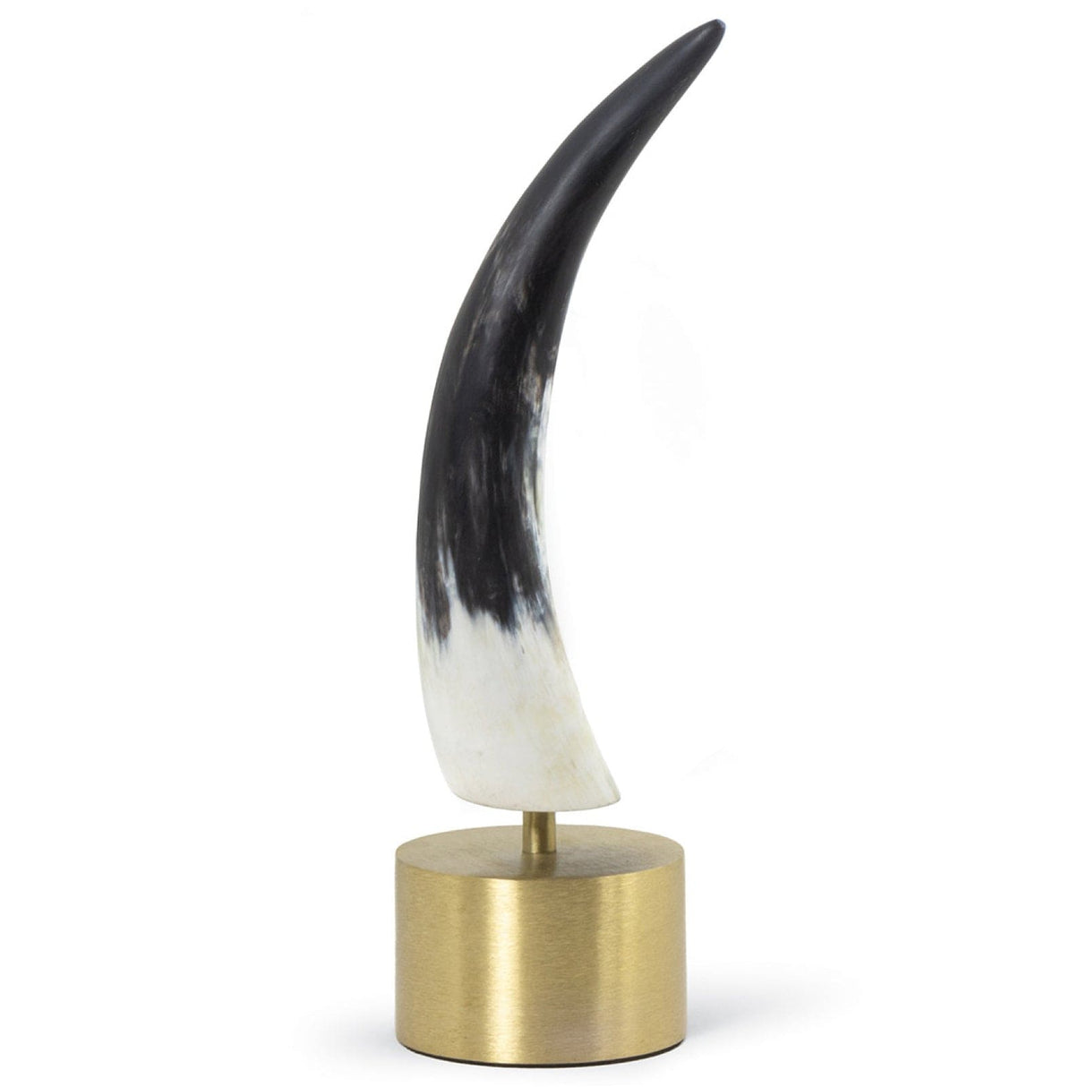 Regina Andrew Daylon Horn Pillow & Decor