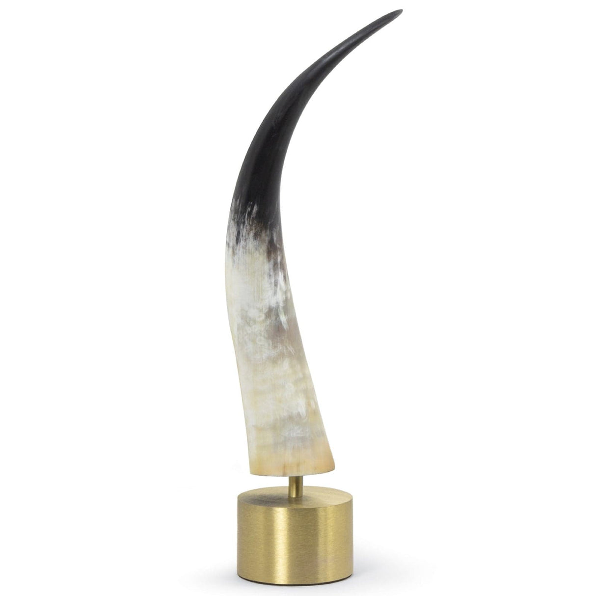 Regina Andrew Daylon Horn Pillow & Decor