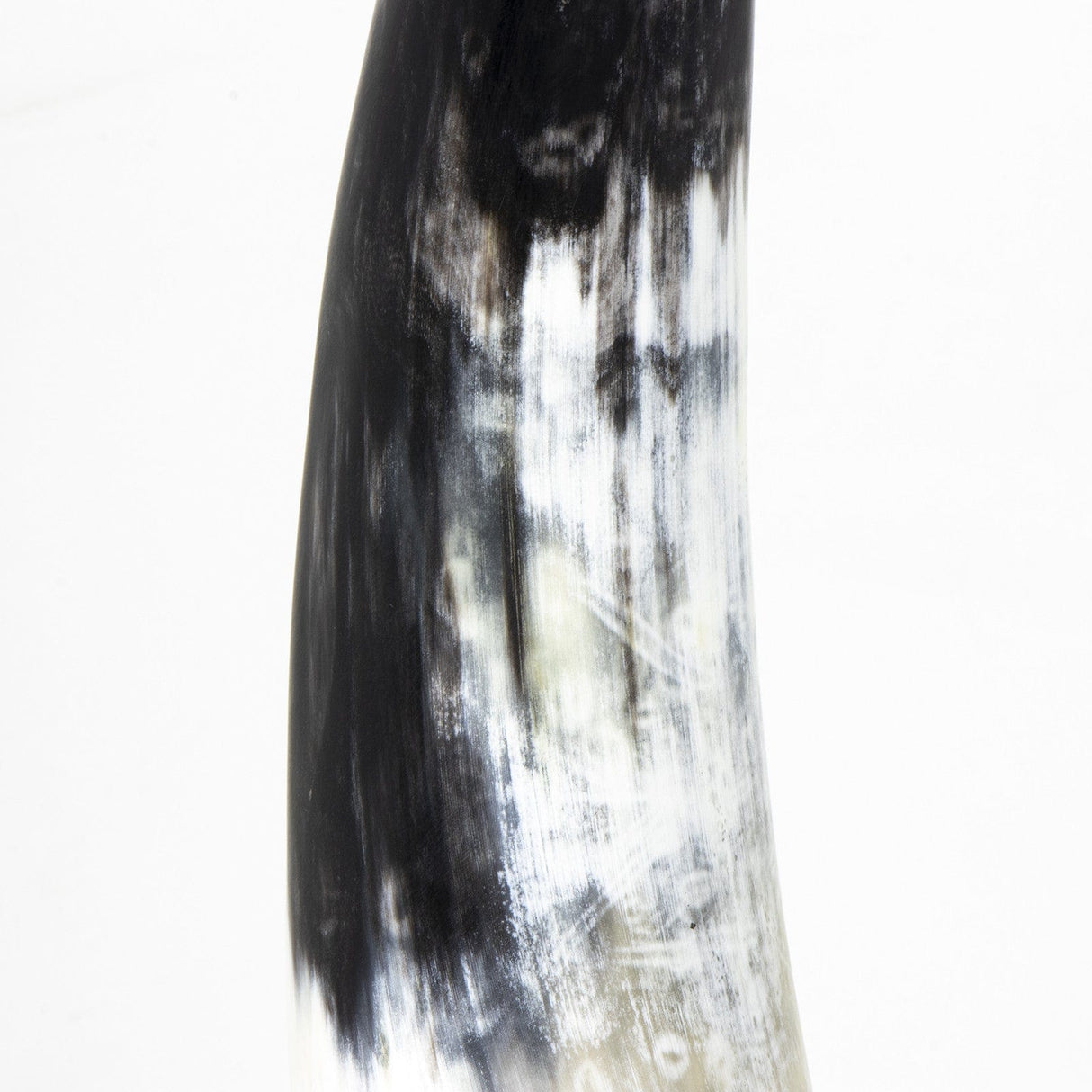 Regina Andrew Daylon Horn Pillow & Decor