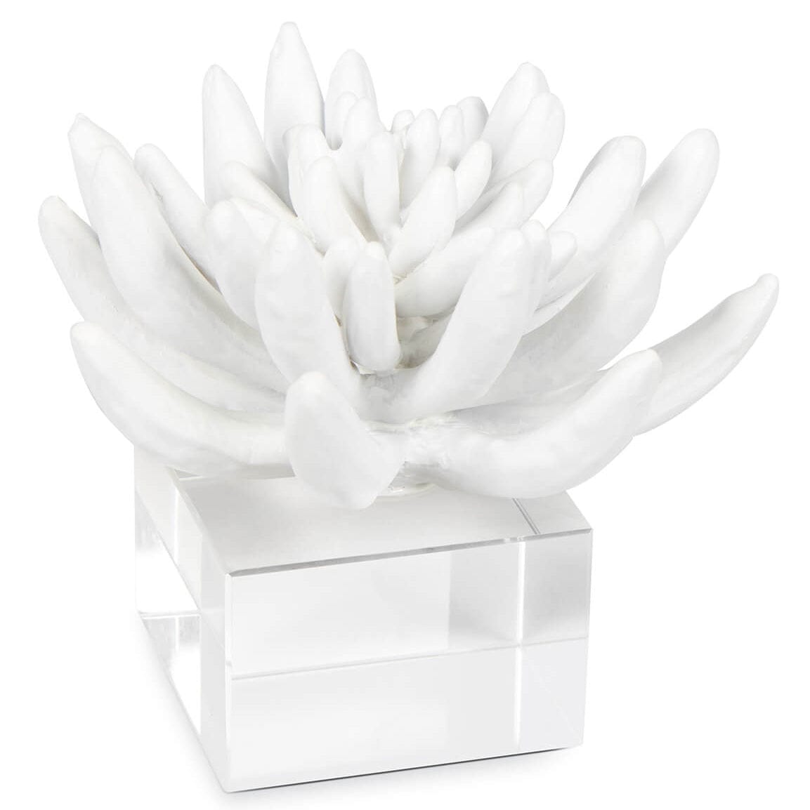 Regina Andrew Succulent Resin Sculpture Pillow & Decor regina-andrew-20-1484 844717033490