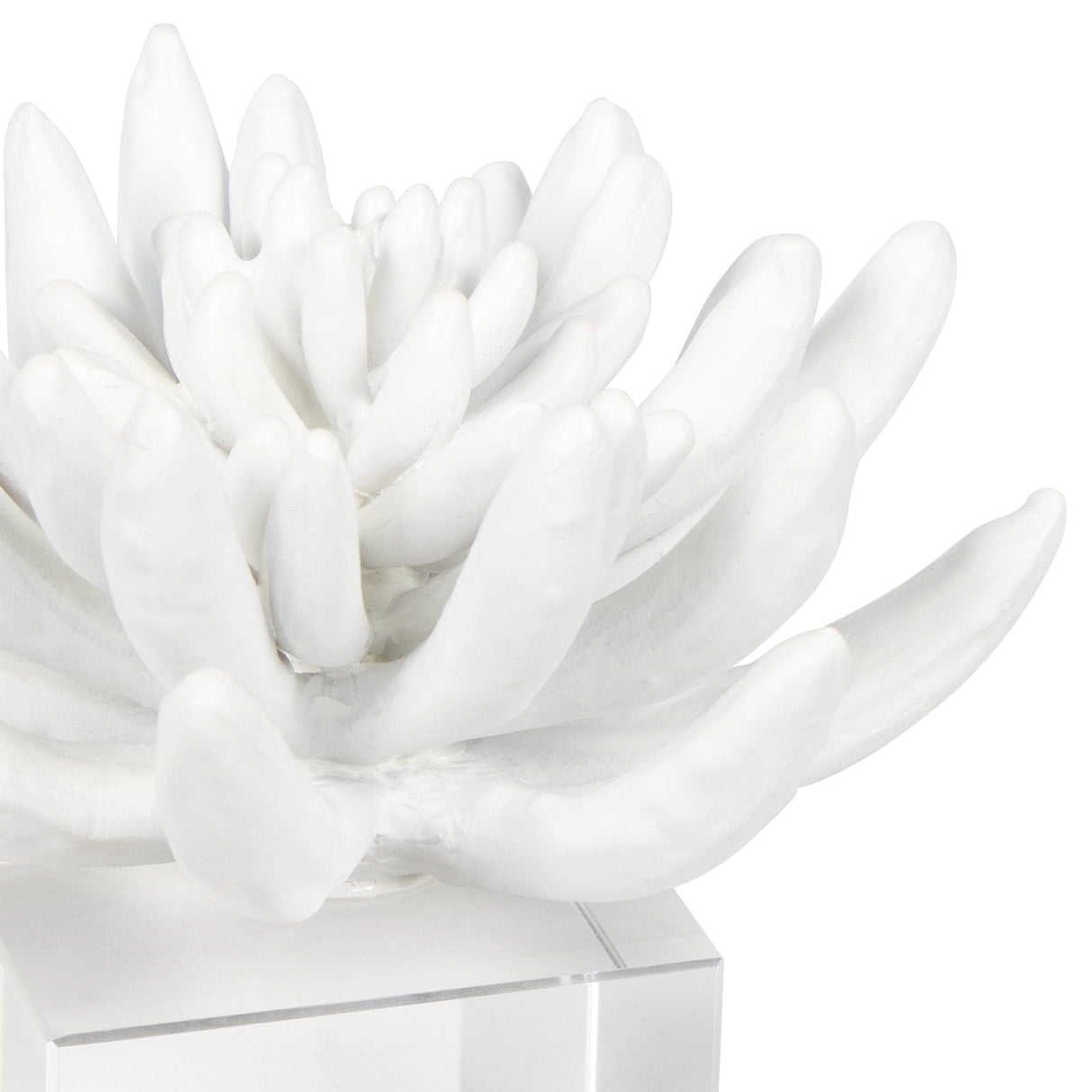 Regina Andrew Succulent Resin Sculpture Pillow & Decor regina-andrew-20-1484 844717033490