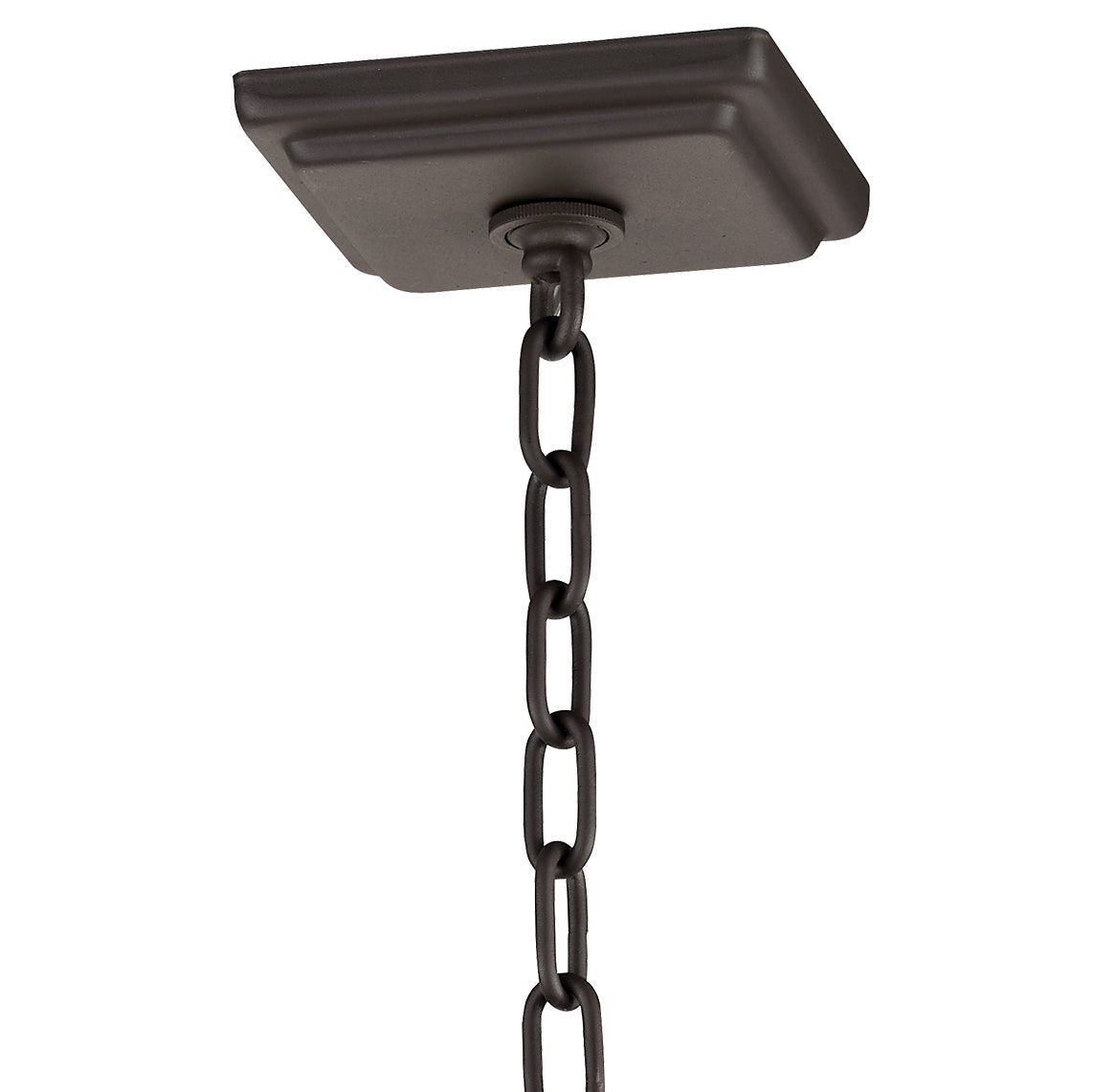 Troy Lighting Eden Outdoor Pendant Lighting