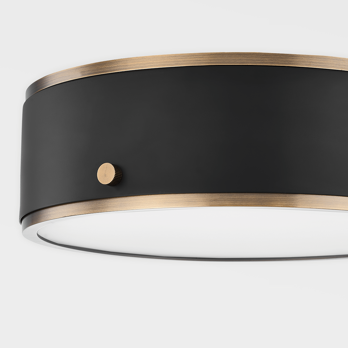 Troy Lighting Eli Flush Mount Lighting