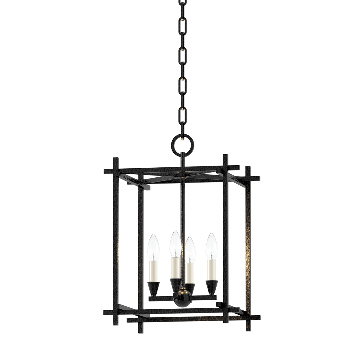 Troy Lighting Huck Lantern Lighting troy-F1095-BI