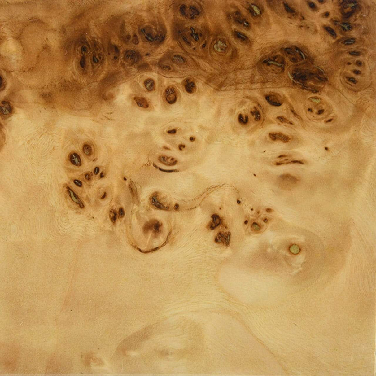 Worlds Away Cruise Counter Stool Furniture