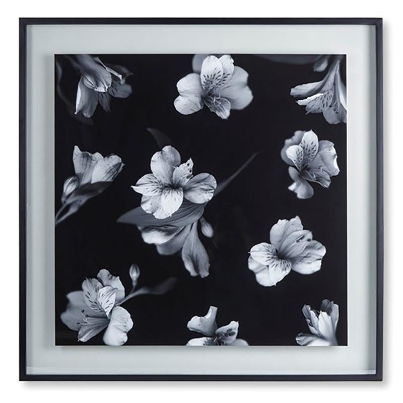 Kelly Hoppen Black and White Flowers