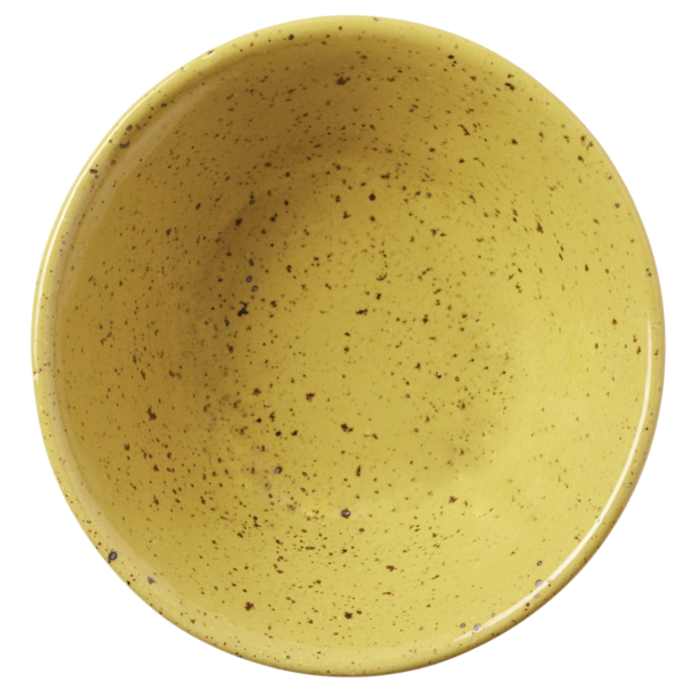 Marcus Chartreuse Salt Glaze Dinnerware (Pack of 4)