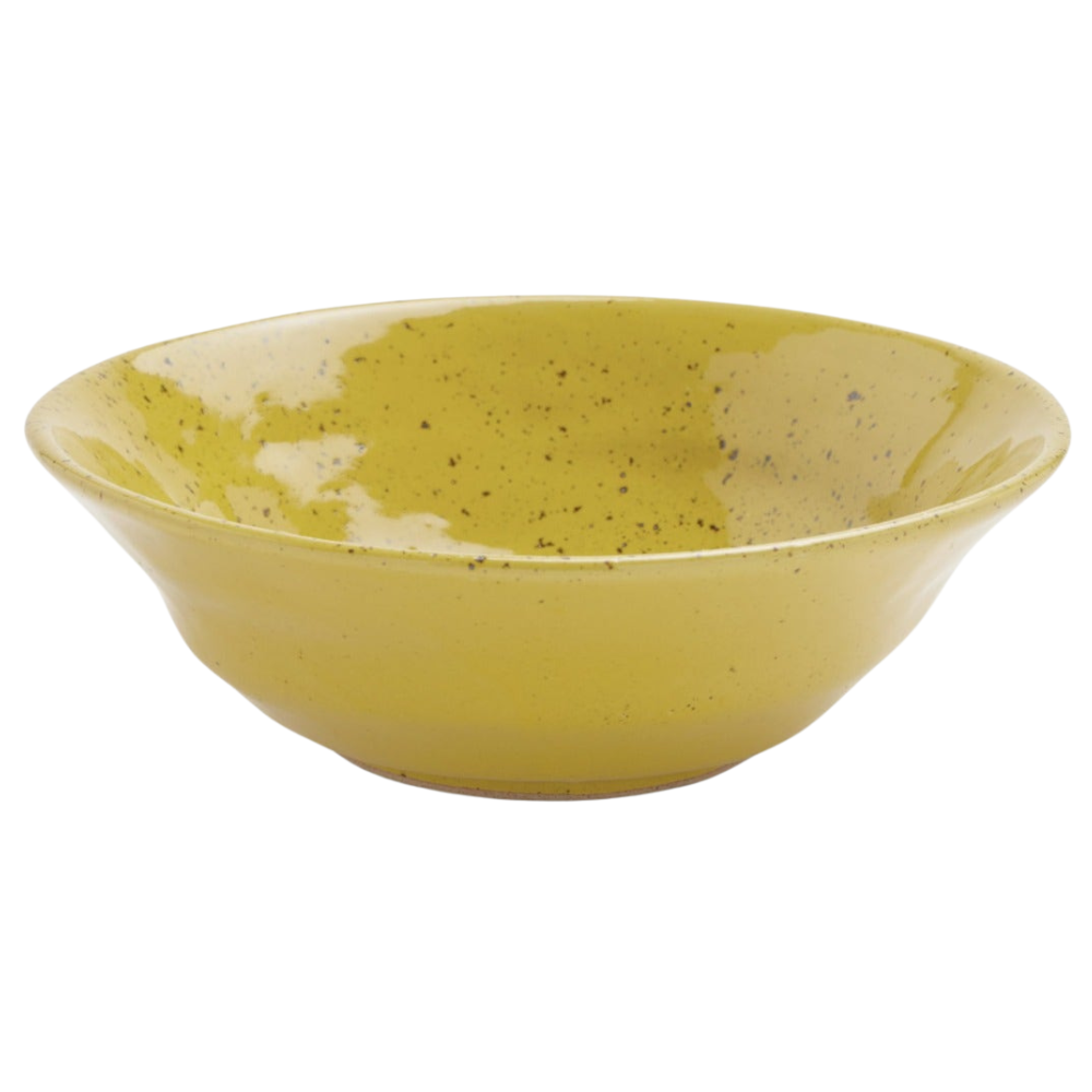 Marcus Chartreuse Salt Glaze Dinnerware (Pack of 4)