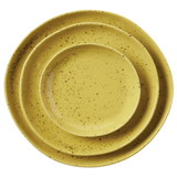 Marcus Chartreuse Salt Glaze Dinnerware (Pack of 4)