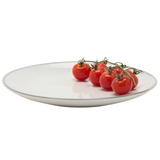 Tessa Gray Speckle Dinnerware (Pack of 4)