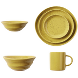 Marcus Chartreuse Salt Glaze Dinnerware (Pack of 4)