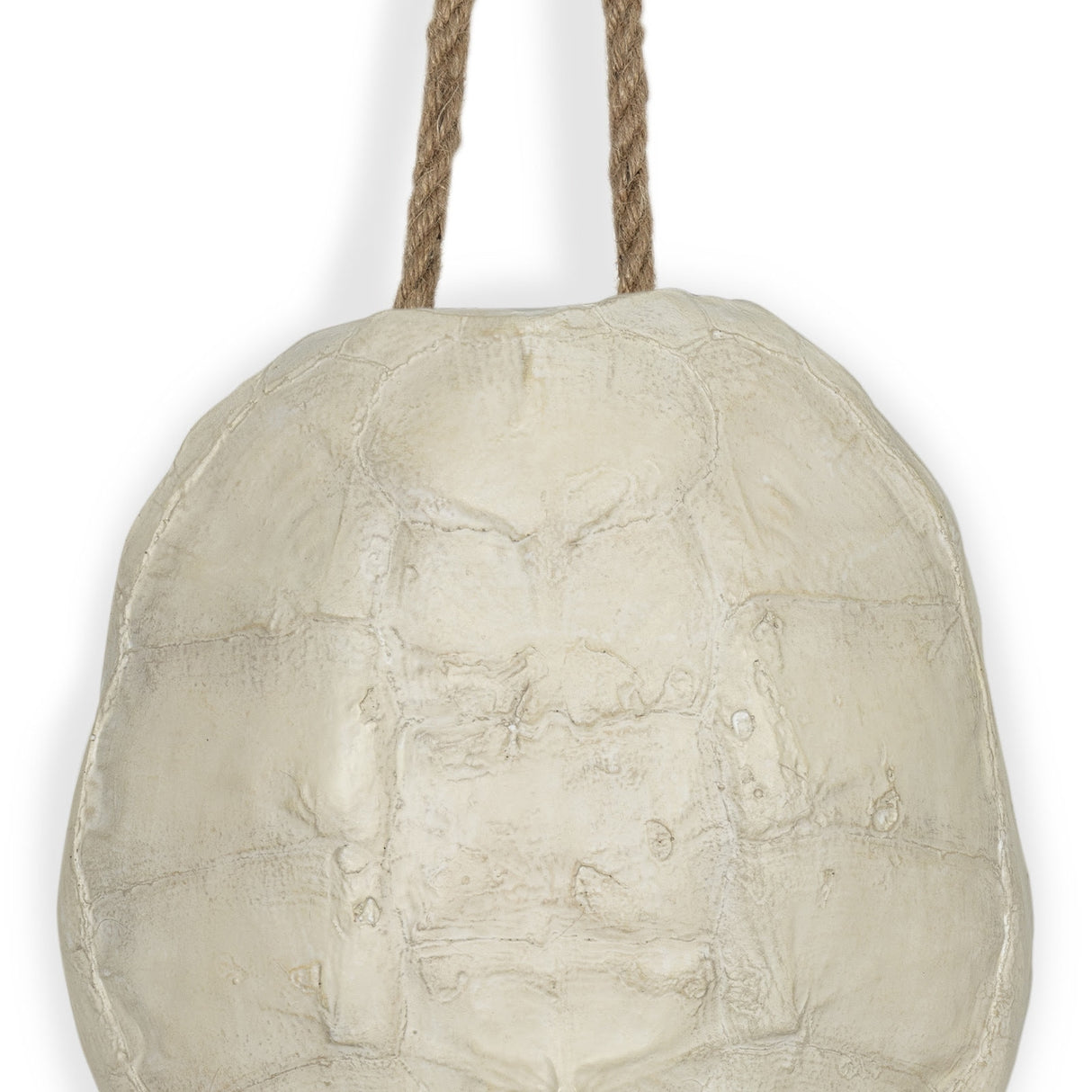 Turtle Shell Accessory - Bleached