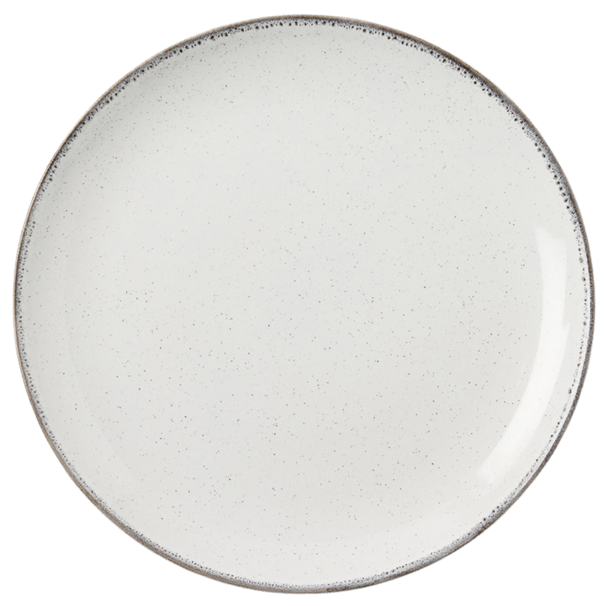 Tessa Gray Speckle Dinnerware (Pack of 4)