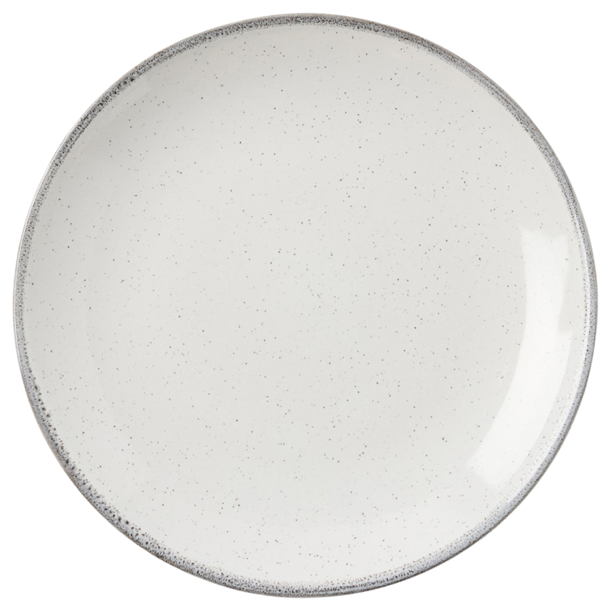 Tessa Gray Speckle Dinnerware (Pack of 4)