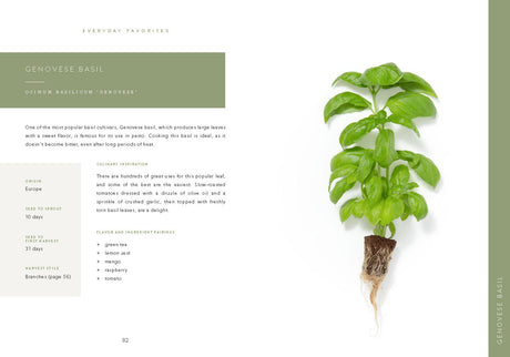 W&P Ditch the Dirt Book