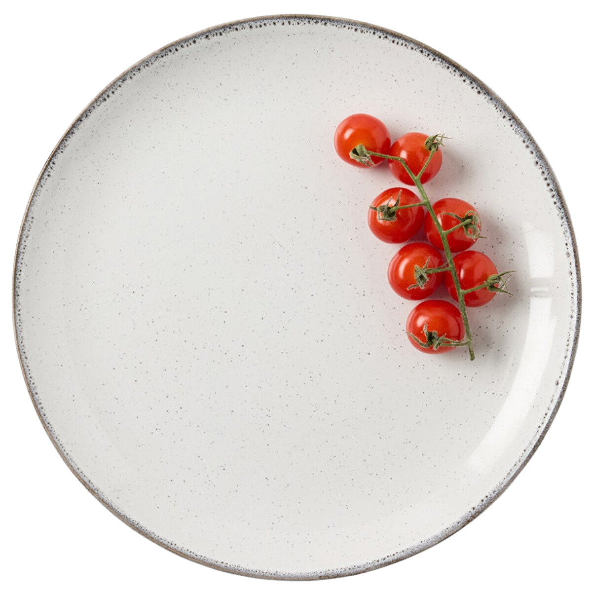 Tessa Gray Speckle Dinnerware (Pack of 4)