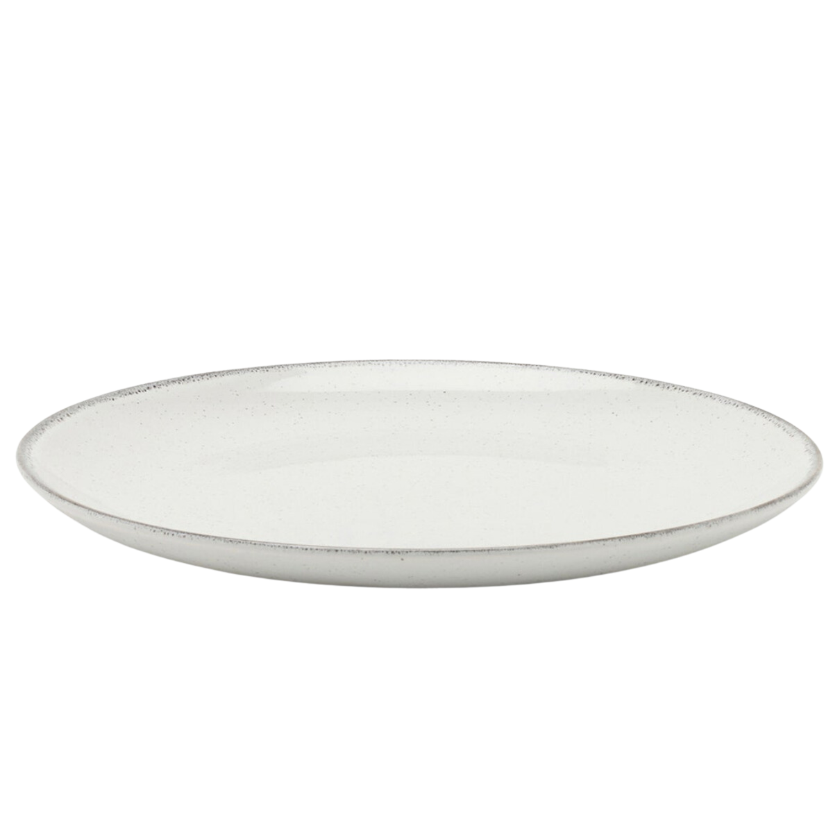 Tessa Gray Speckle Dinnerware (Pack of 4)