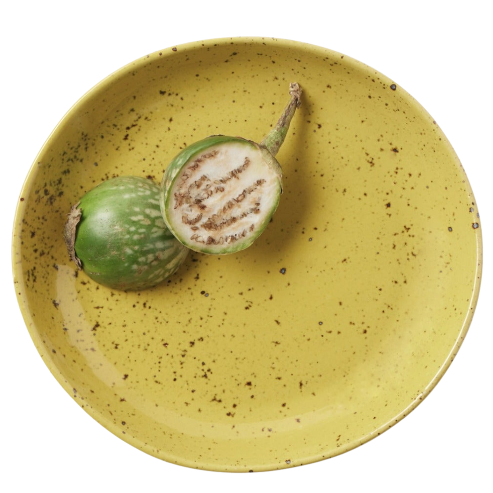 Marcus Chartreuse Salt Glaze Dinnerware (Pack of 4)