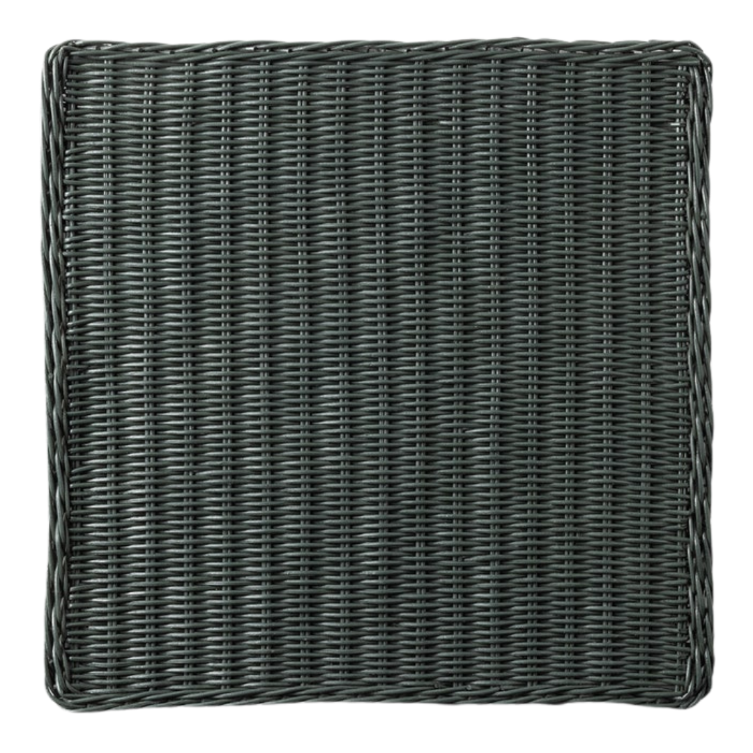 Annmarie Hunter Green Placemat (Pack of 4)