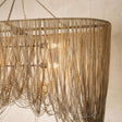 Layla Chandelier Chandeliers