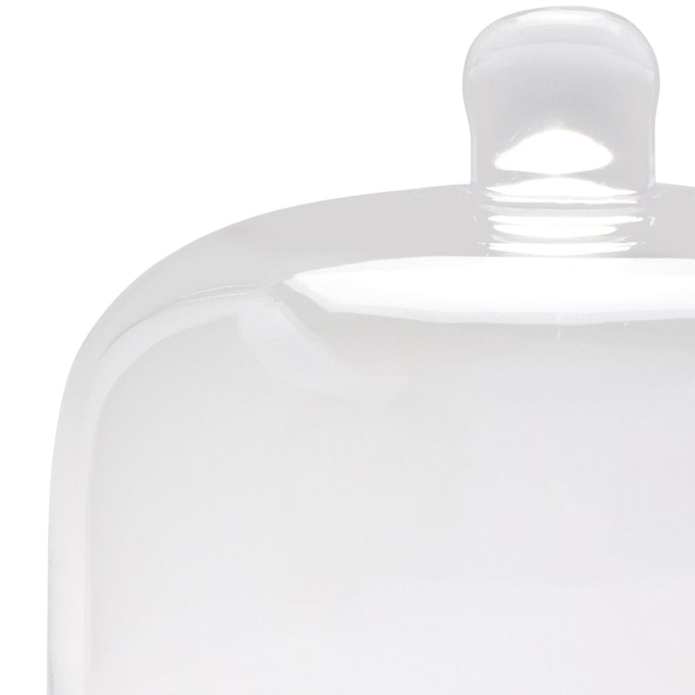 Atlas Serving Platter With Cloche Serving Platters + Bowls