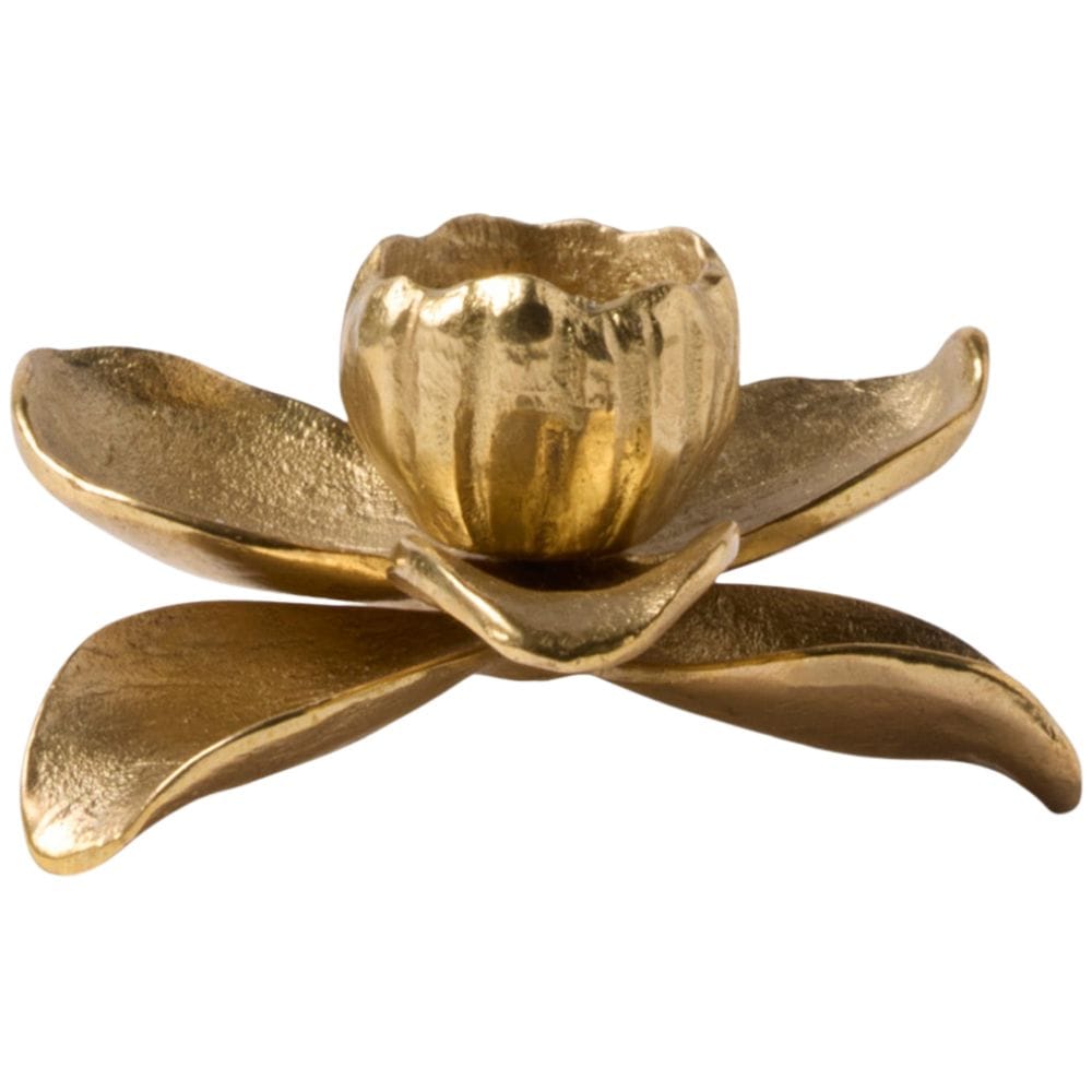 Mirabelle Candle Holders (Set of 2) Candleholders BP006509