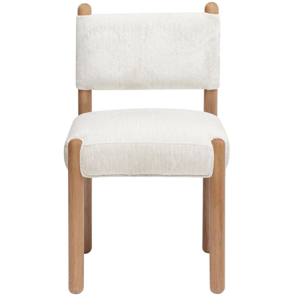 Bruno Dining Chair Dining Chairs + Benches TOV-D69554 793580659064