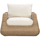 Dana Outdoor Accent Chair Outdoor Occasional + Accent Chairs TOV-O54930 793580651600