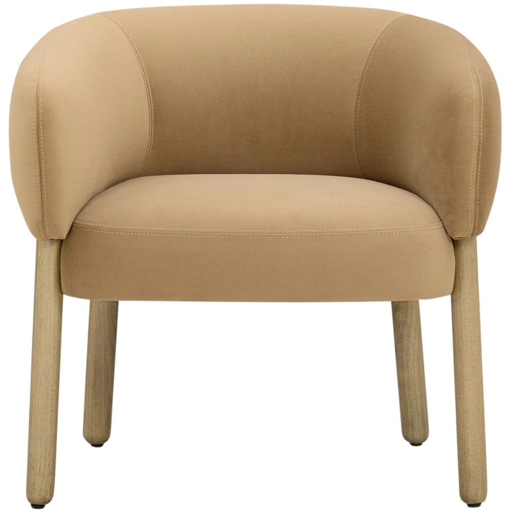 Roxy Accent Chair Occasional + Accent Chairs TOV-S55098 793580657794