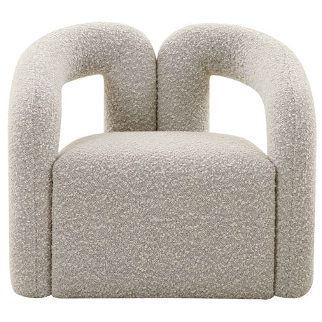 Jenn Accent Chair Occasional + Accent Chairs TOV-S68456 793580620453