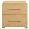 Marissa Nightstand Nightstands + Bedside Tables TOV-B55021 793580654984