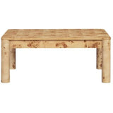 Merri Coffee Table Coffee Tables TOV-OC54814 793580649423