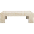Roxanne Indoor/Outdoor Coffee Table Outdoor Coffee Tables TOV-OC54938 793580653130