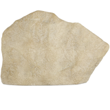 Architectural Remnant I