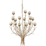 Star Magnolia Chandelier