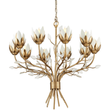 Star Magnolia Chandelier