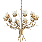 Star Magnolia Chandelier