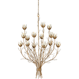 Star Magnolia Chandelier