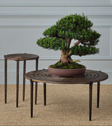 Unity Cocktail Table