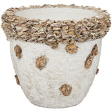 Oyster Shell Planter