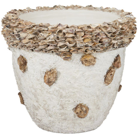 Oyster Shell Planter