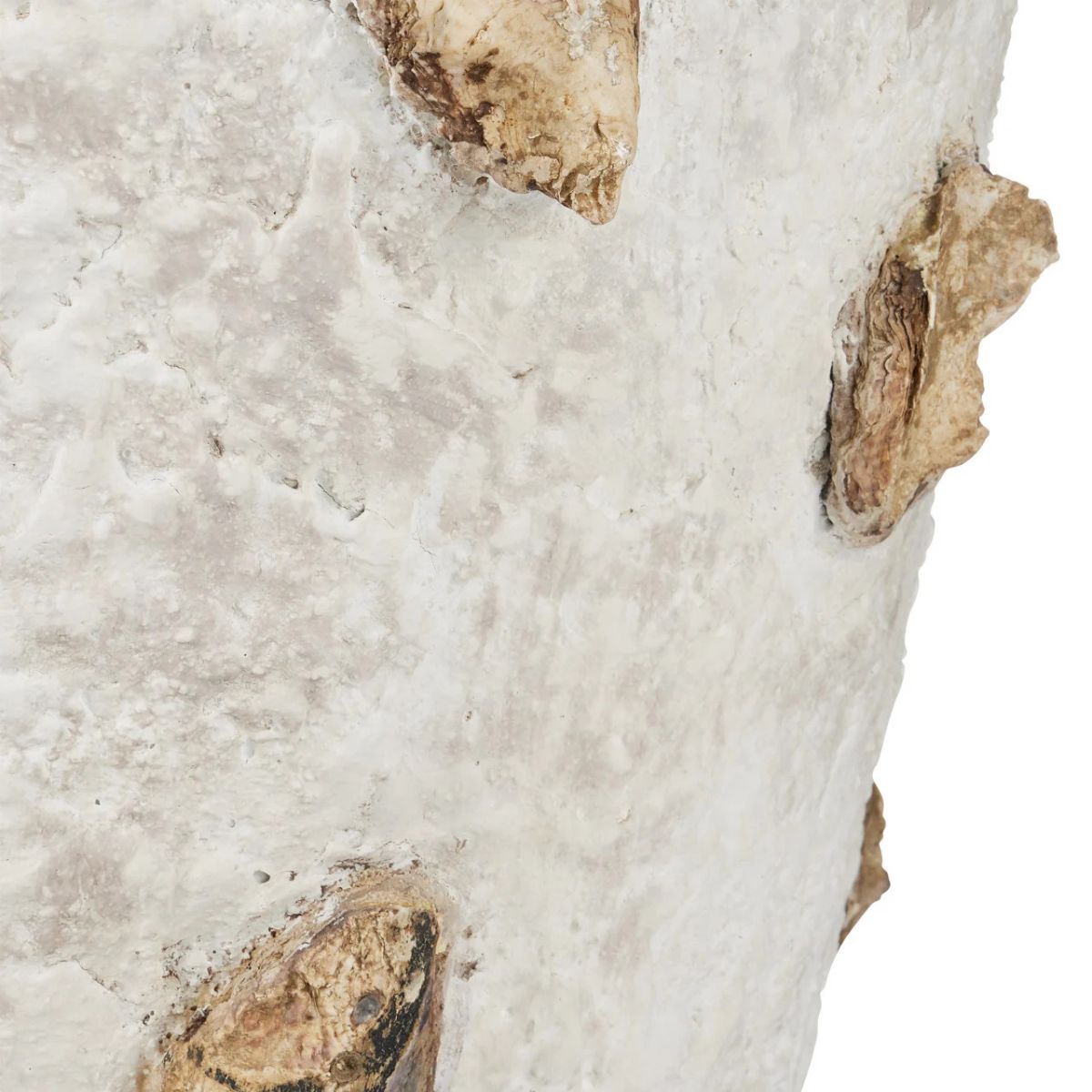 Oyster Shell Planter