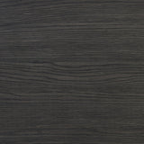 Delphi Media Console