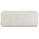 Daryl Shell Coffee Table